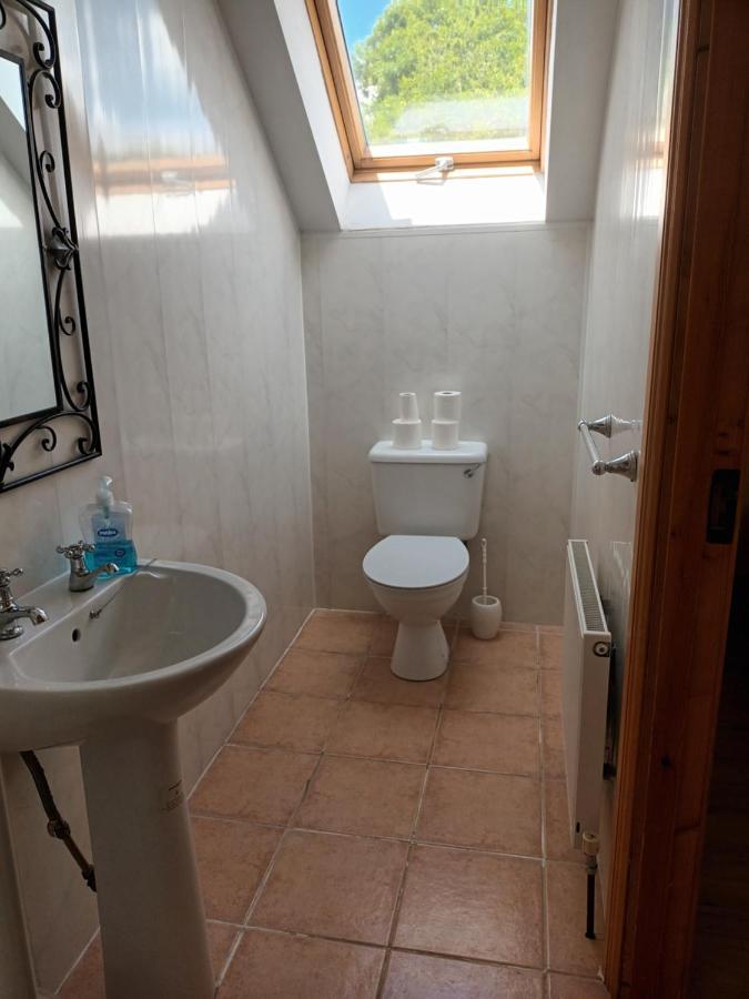 Rathgillen House Villa Nobber Ngoại thất bức ảnh